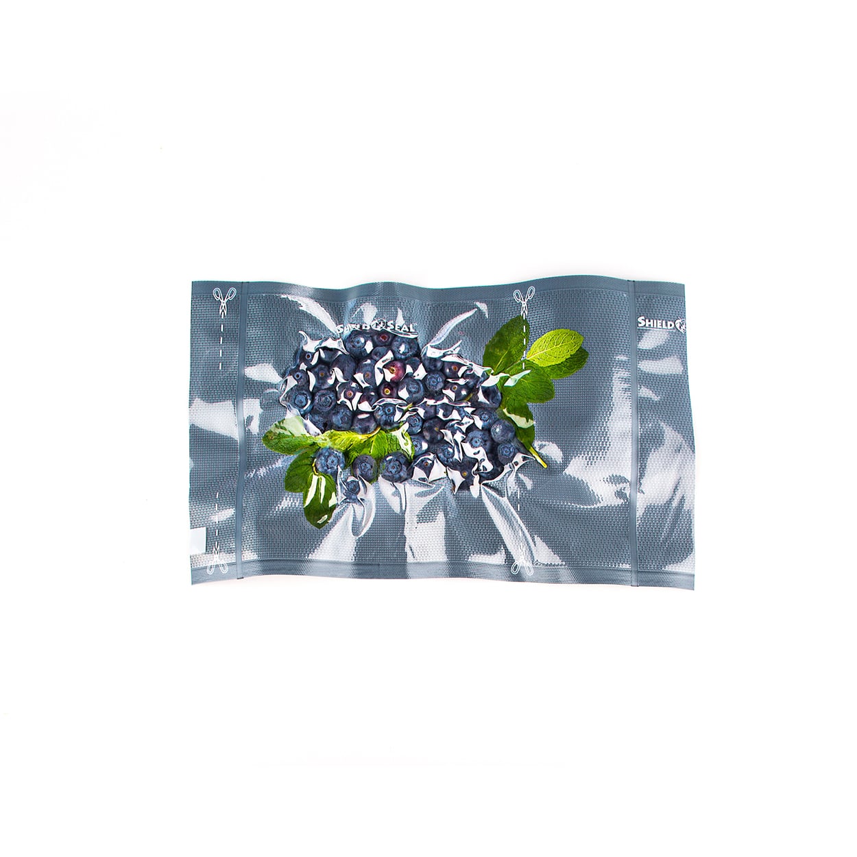 https://shieldnseal.com/wp-content/uploads/2013/09/sns-900-blueberries-a.jpg